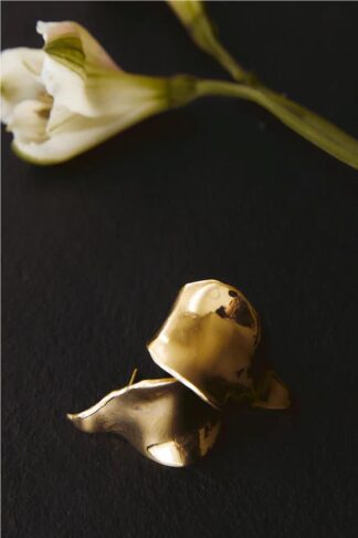Pendientes Gota L